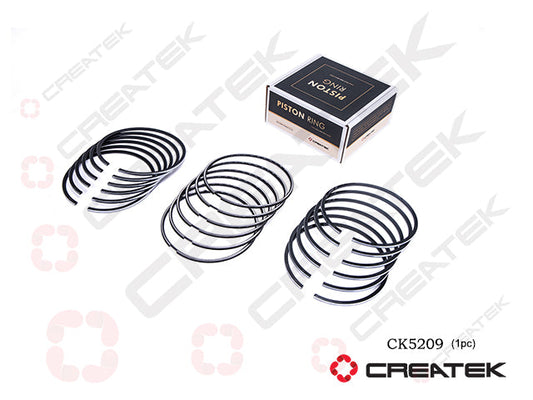 Piston Ring