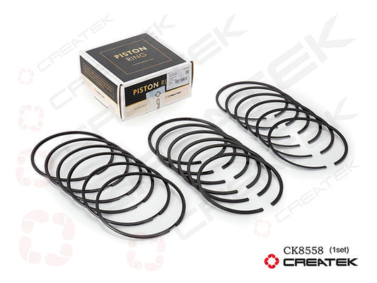 Piston Ring